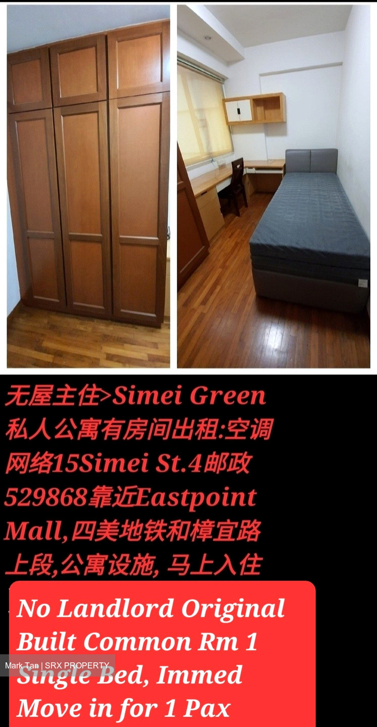 Simei Green Condominium (D18), Condominium #576267601